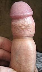 Foto 1 do conto: DEI MEU CUZINHO PRO PATRÃO